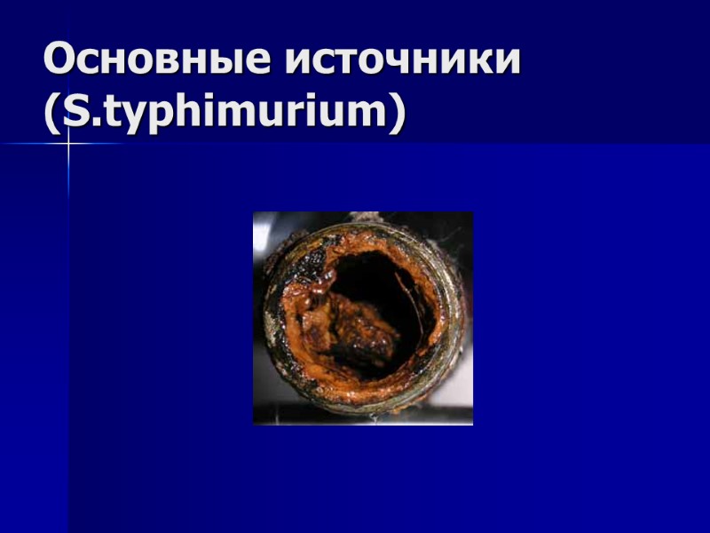 Основные источники (S.typhimurium)